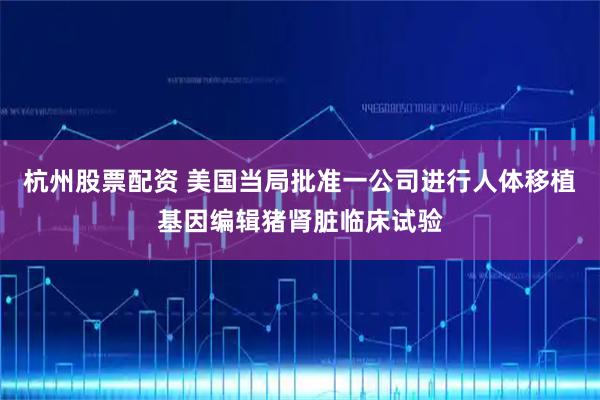 杭州股票配资 美国当局批准一公司进行人体移植基因编辑猪肾脏临床试验